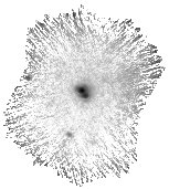 IRSA Image