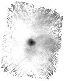 IRSA Image