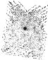 IRSA Image