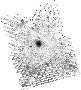 IRSA Image
