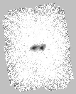 IRSA Image