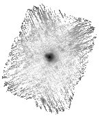 IRSA Image