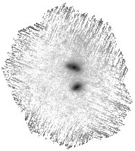 IRSA Image