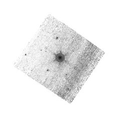 IRSA Image