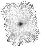 IRSA Image