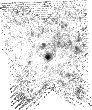 IRSA Image