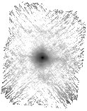 IRSA Image
