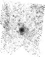IRSA Image