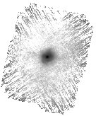 IRSA Image