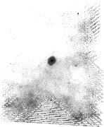 IRSA Image