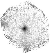 IRSA Image
