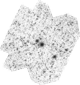 IRSA Image