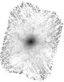 IRSA Image