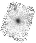 IRSA Image