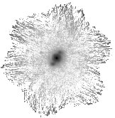 IRSA Image