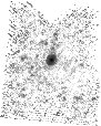 IRSA Image