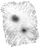 IRSA Image