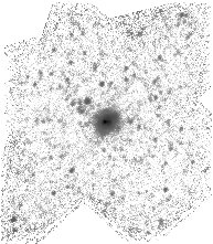 IRSA Image