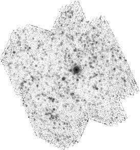 IRSA Image