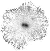 IRSA Image