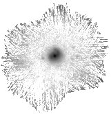 IRSA Image