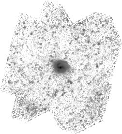 IRSA Image