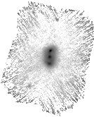 IRSA Image