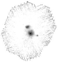 IRSA Image