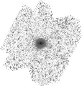 IRSA Image