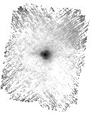 IRSA Image