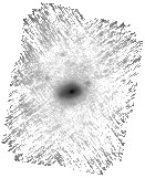 IRSA Image