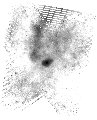 IRSA Image