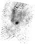 IRSA Image