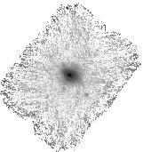 IRSA Image