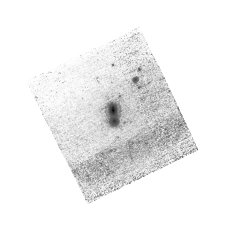 IRSA Image