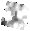 IRSA Image