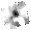 IRSA Image