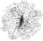 IRSA Image