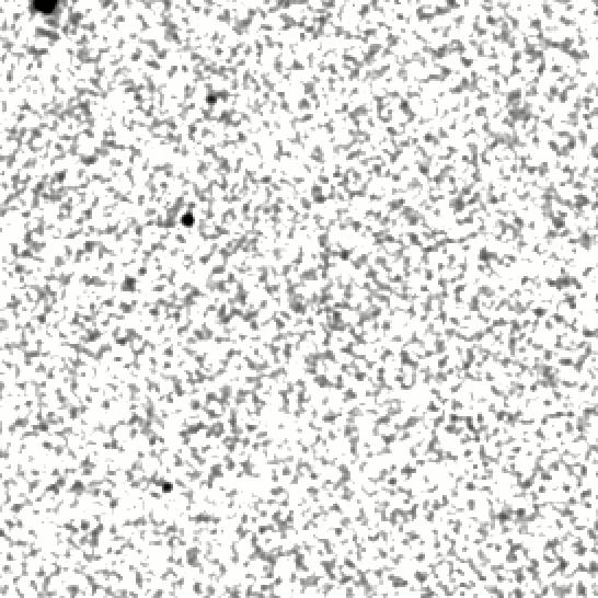 IRSA Image