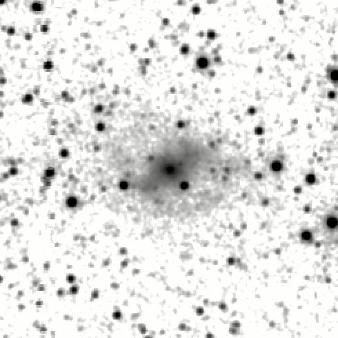 IRSA Image