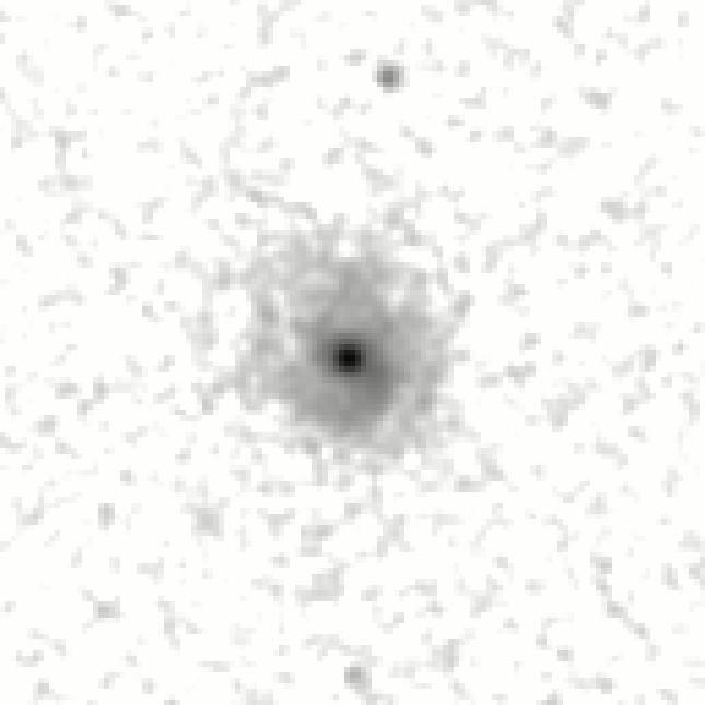 IRSA Image