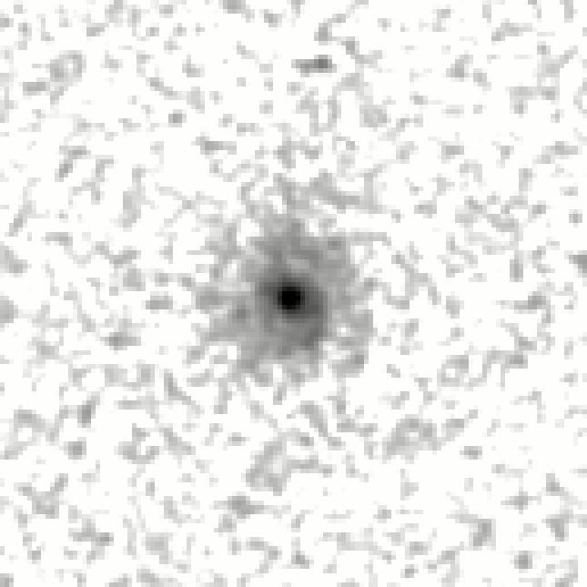 IRSA Image