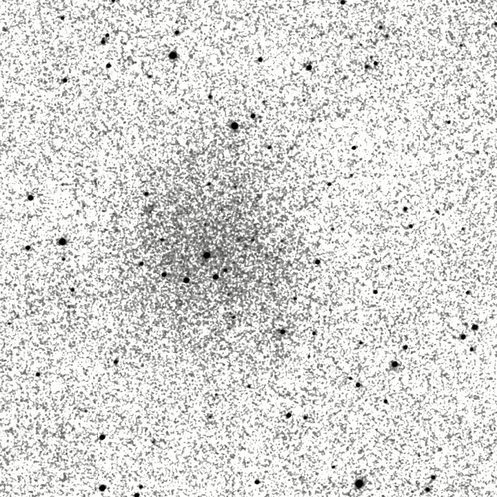 IRSA Image