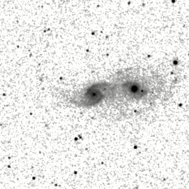 IRSA Image