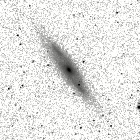 IRSA Image