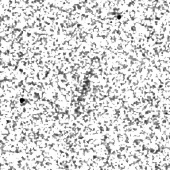 IRSA Image