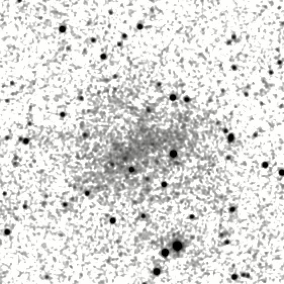 IRSA Image