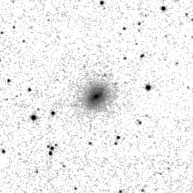 IRSA Image
