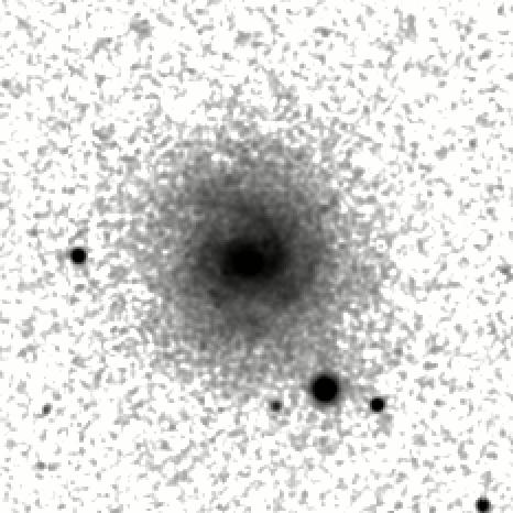 IRSA Image