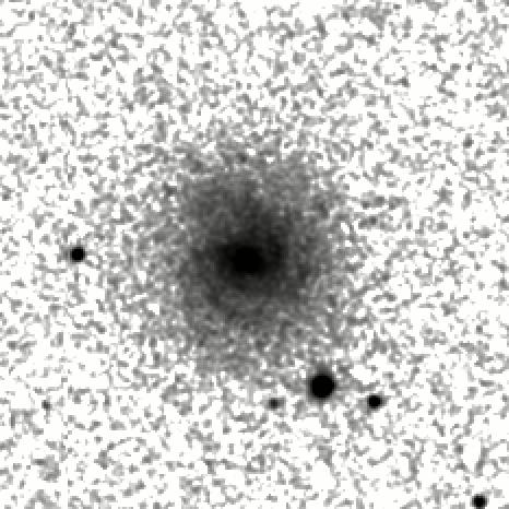 IRSA Image